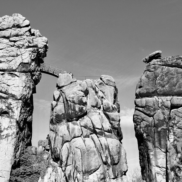 Meet your Posher, Callum - Picture 1 of 1